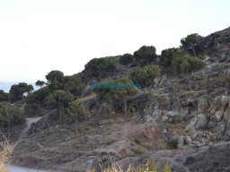 Castillo de Lorca 2008